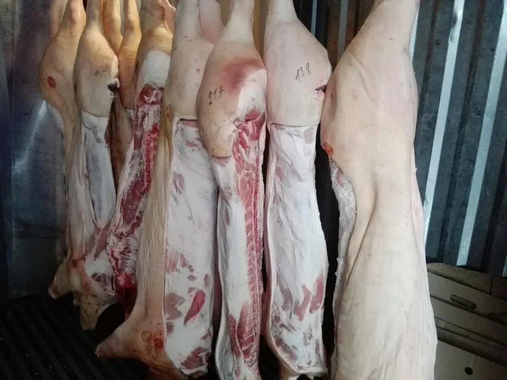 Фотография продукта Свинина  в полутушах. 215 р/кг