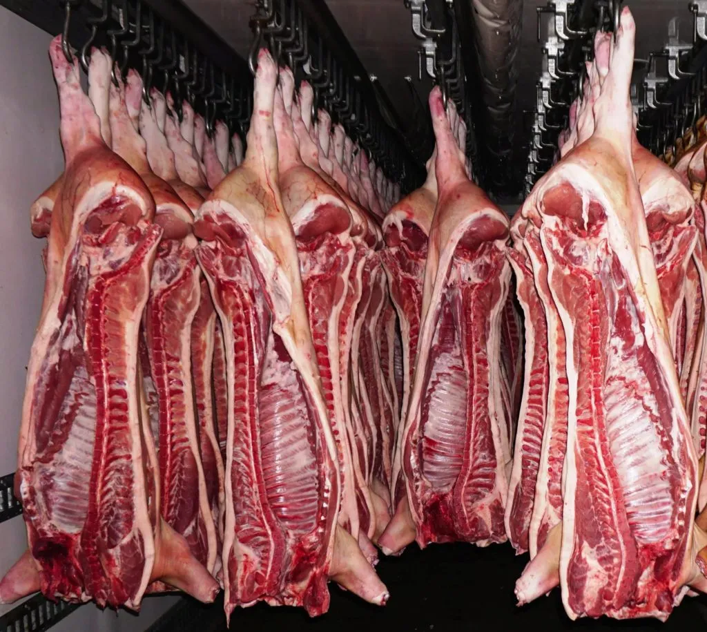 фотография продукта  мясо свинина