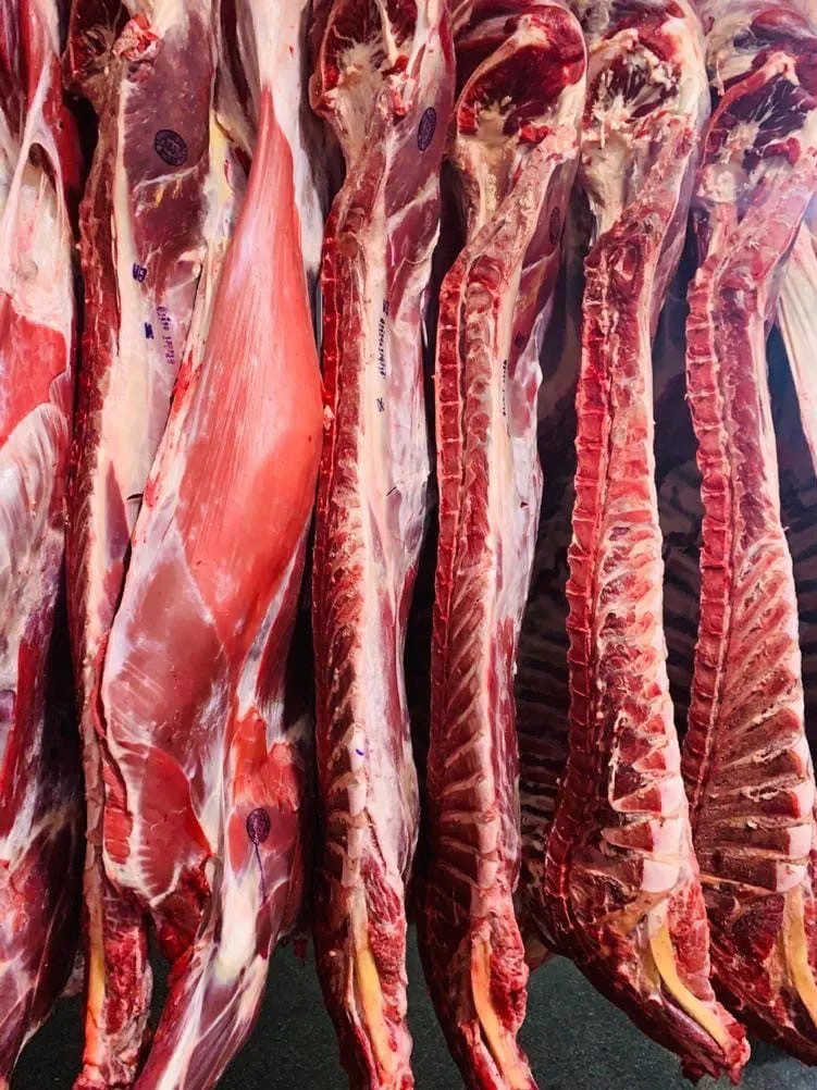 фотография продукта мясо говядины оптом от производителя
