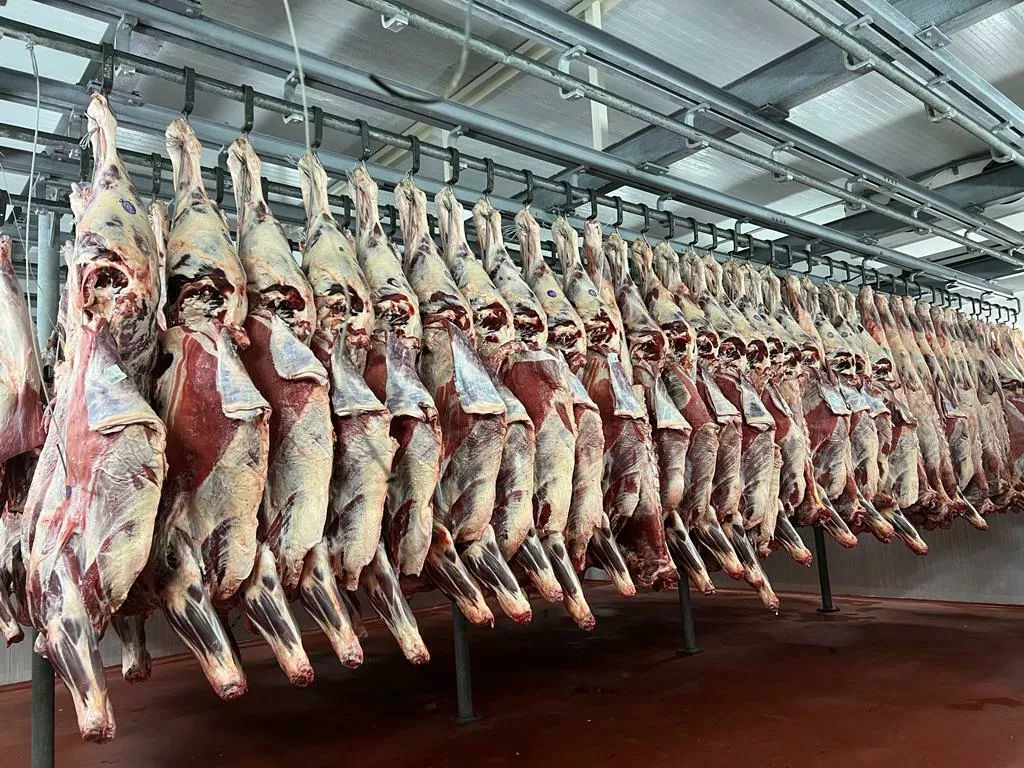 Фотография продукта Мясо говядины от производителя беларусь